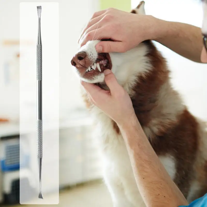 הכלב שן Scaler מגרד פלדה אל חלד משודרג חתול מחמד Tarter מסיר עם ראש שונים שיניים ניקוי כלי משלוח מהיר התמונה 3